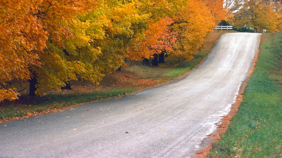 Payday Loans Carlisle and Rural Flamborough, Hamilton